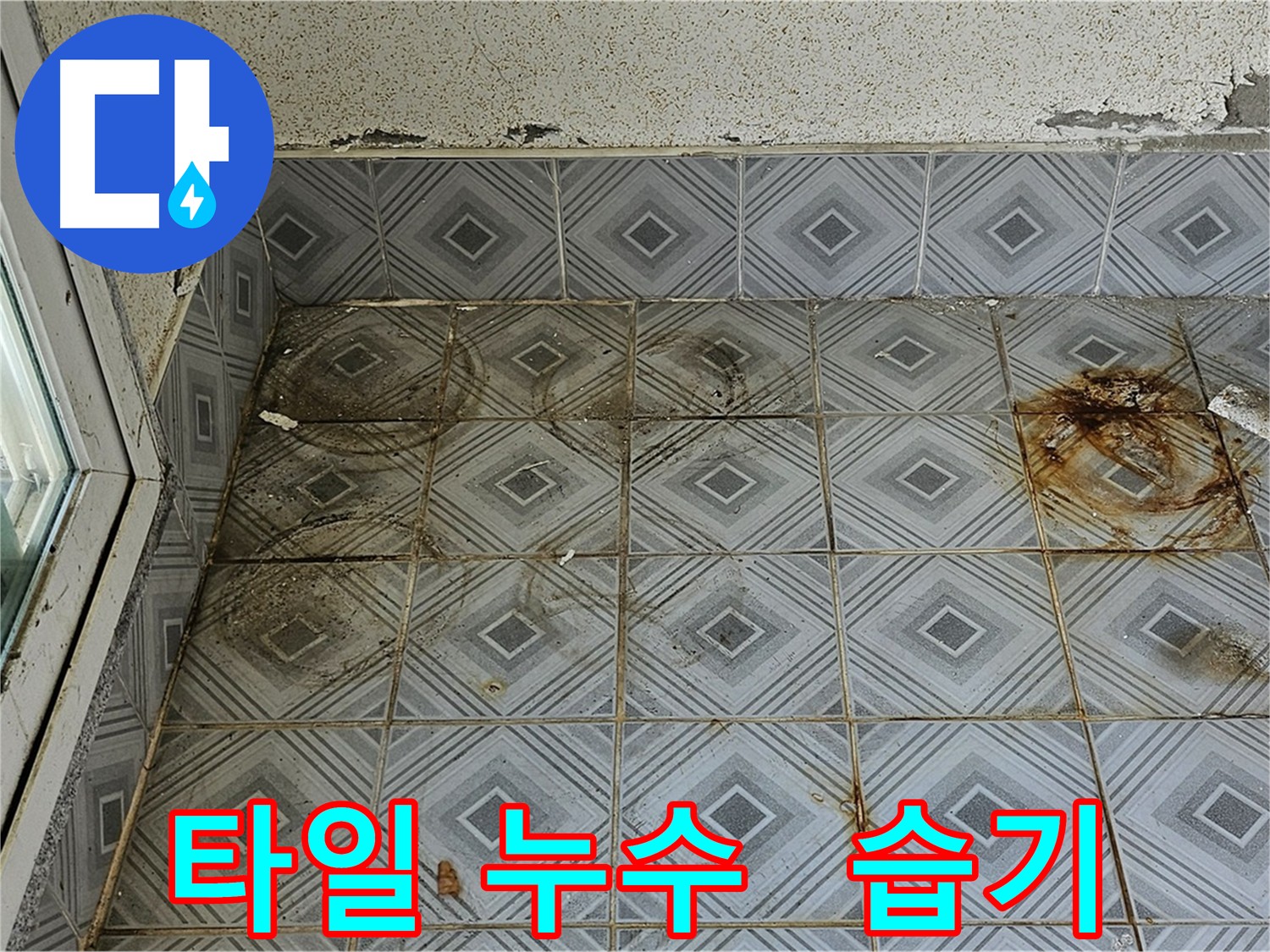 양천구 신월동 누수탐지 - 타일 틈새 및 방수층 균열