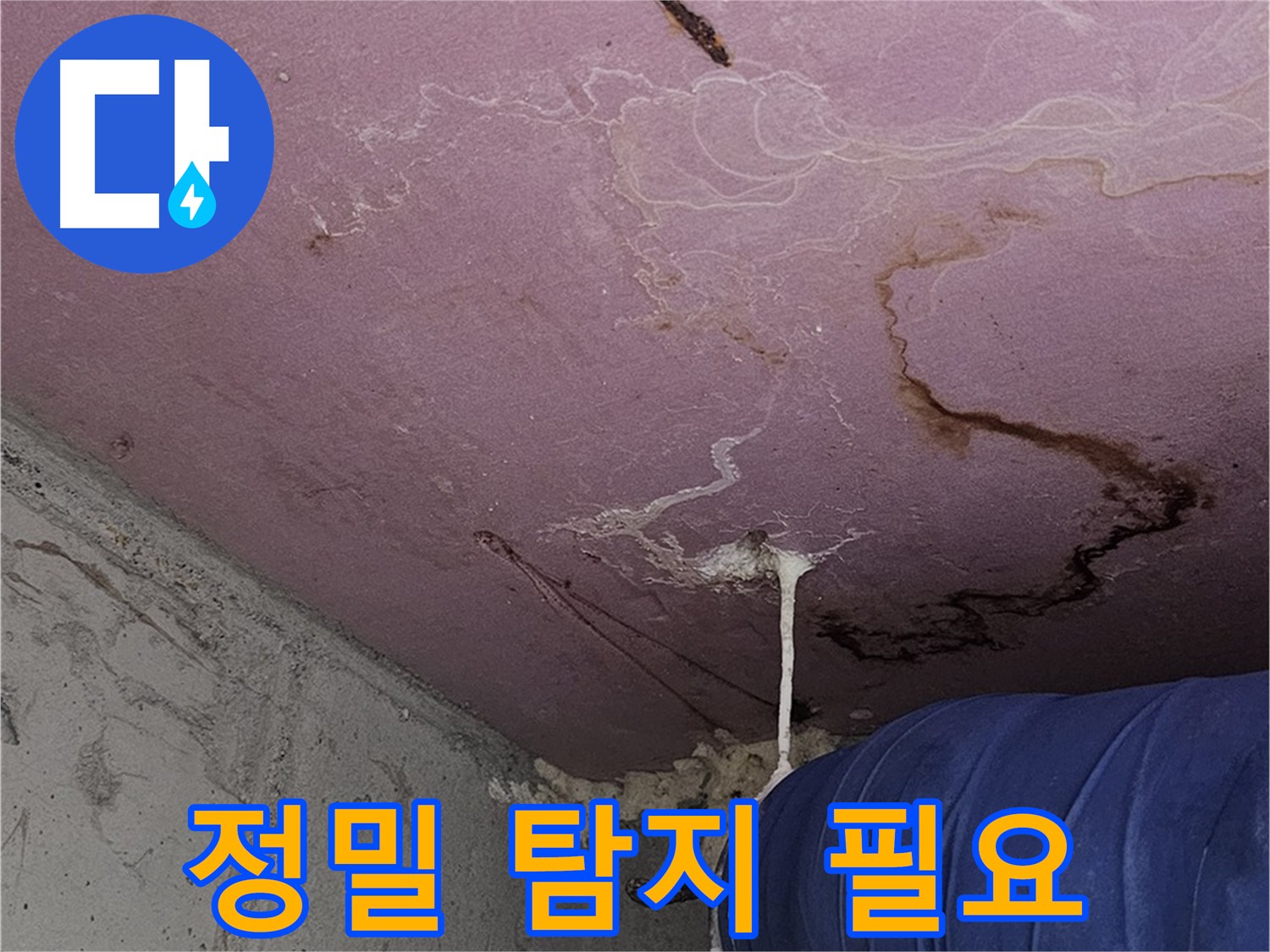 신월동 양천구 누수 - 최첨단 누수 탐지 장비