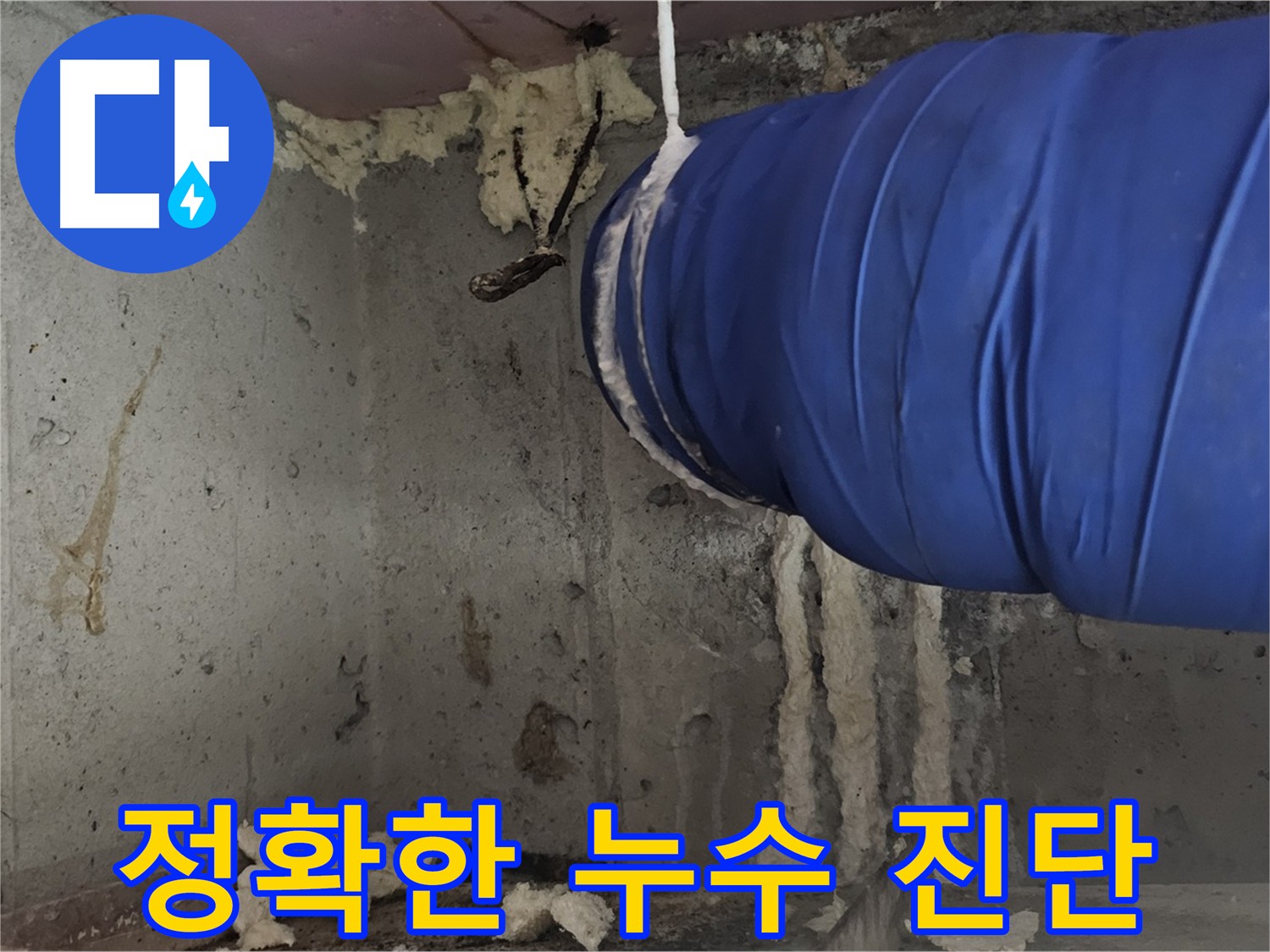 누수 문제 정확한 진단 - 신월동 누수탐지 전문, 합리적 비용