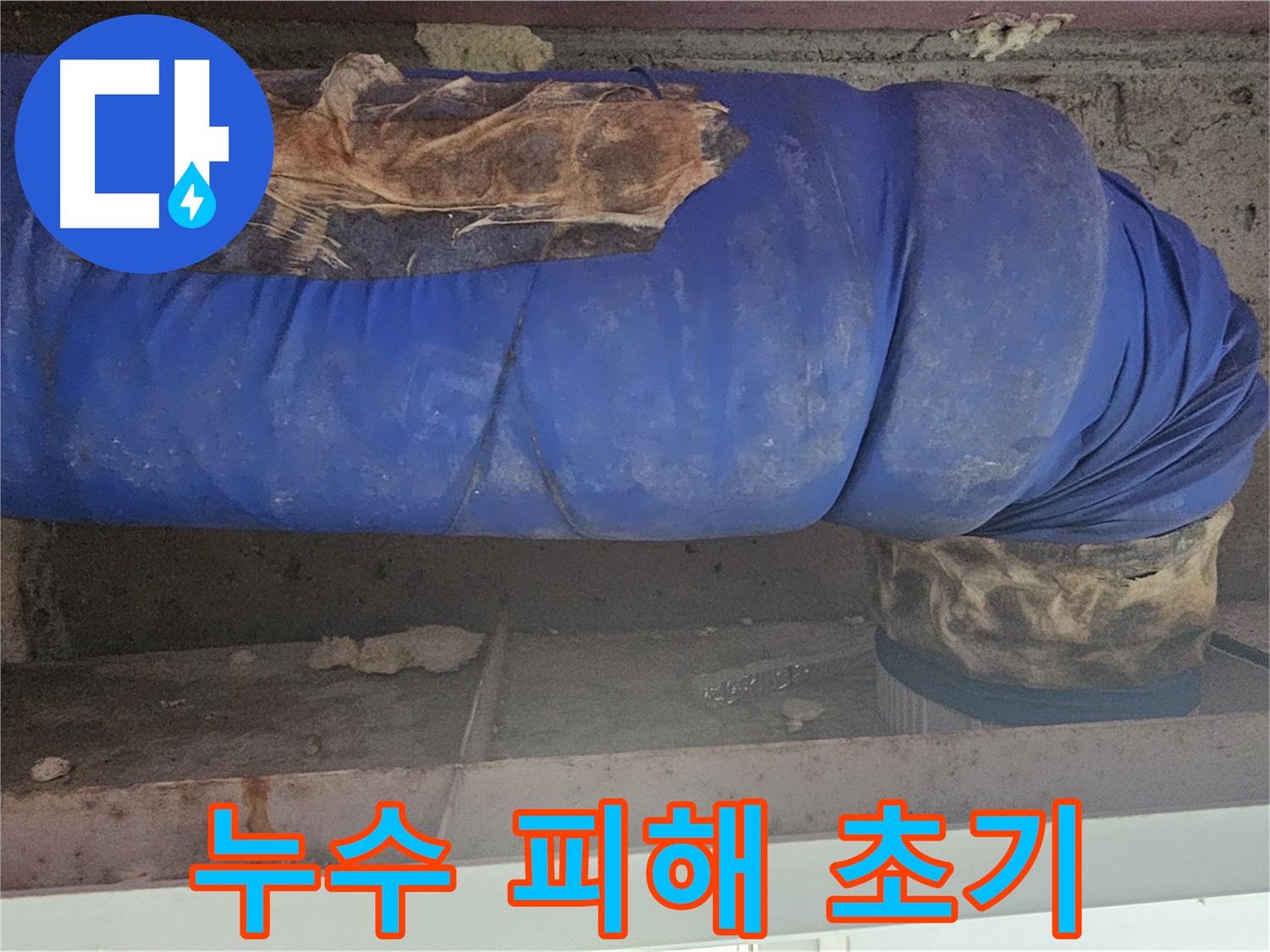 양천구 신월동 누수 - 천장 누수 흔적 및 손상 정도 확인