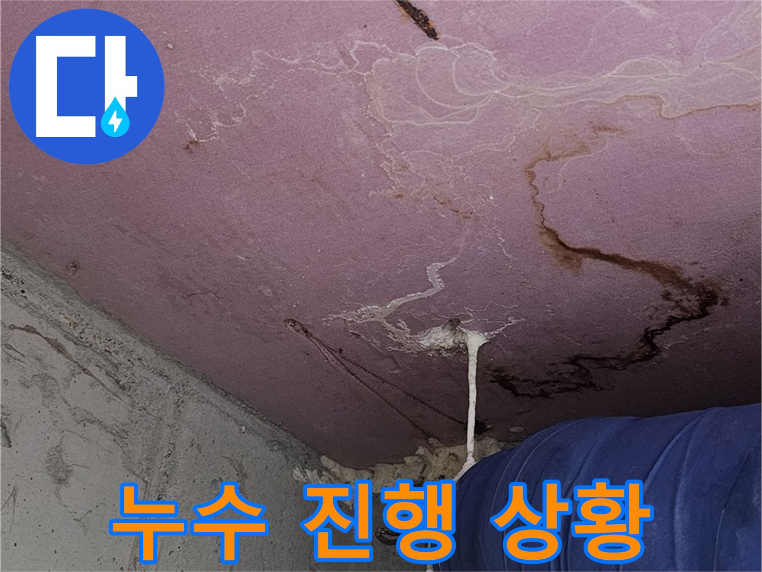 양천구 신월동 누수 - 누수 진행 상황