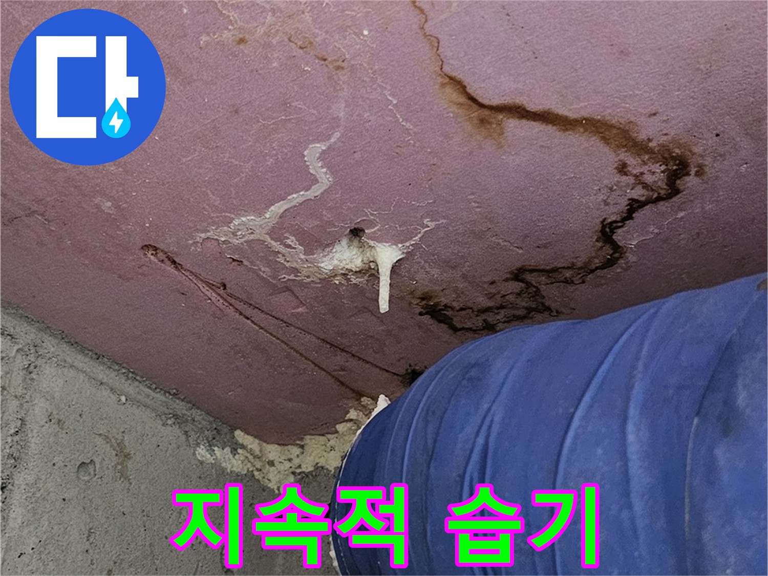 지속적인 습기 - 누수 증상 이미지