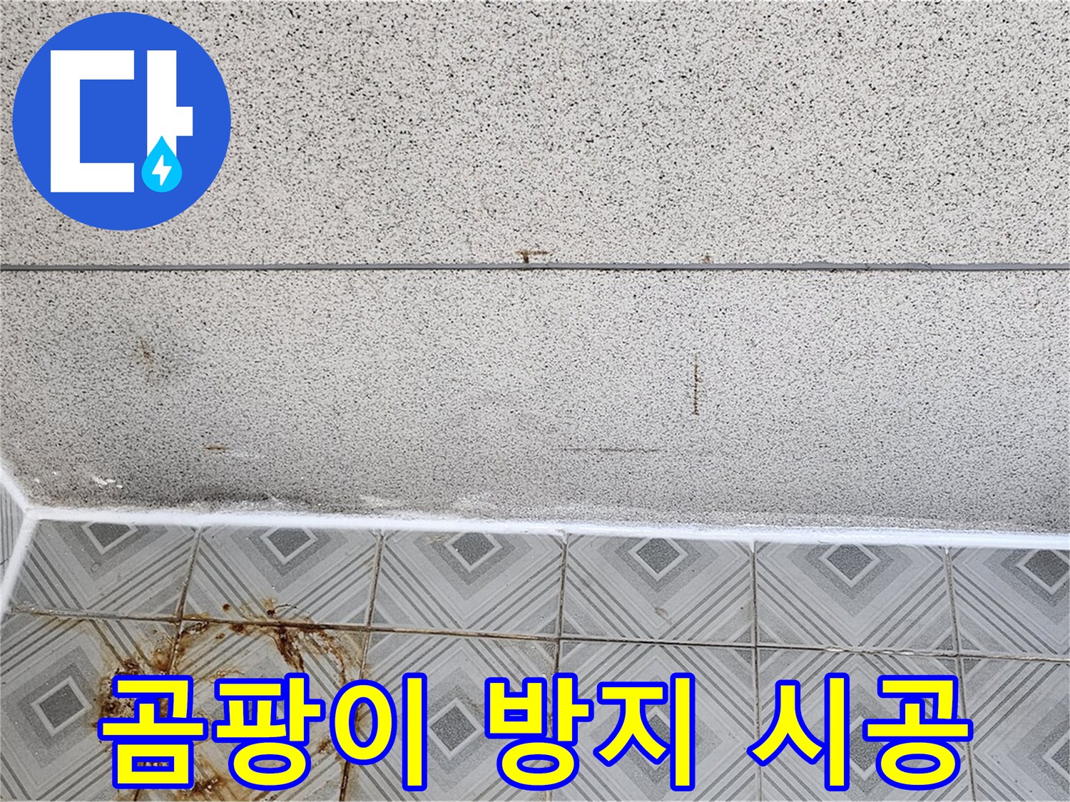 곰팡이 방지 줄눈 시공으로 깨끗한 욕실 유지 - 양천구 신월동 누수 해결