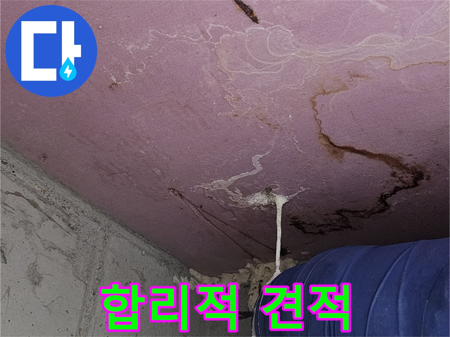 신정동 양천구 누수 - 합리적인 누수 탐지 비용 제공