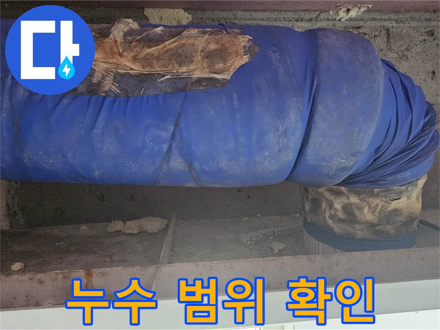 양천구 신월동 누수 - 천장 누수 흔적 확인 및 신속 해결 약속