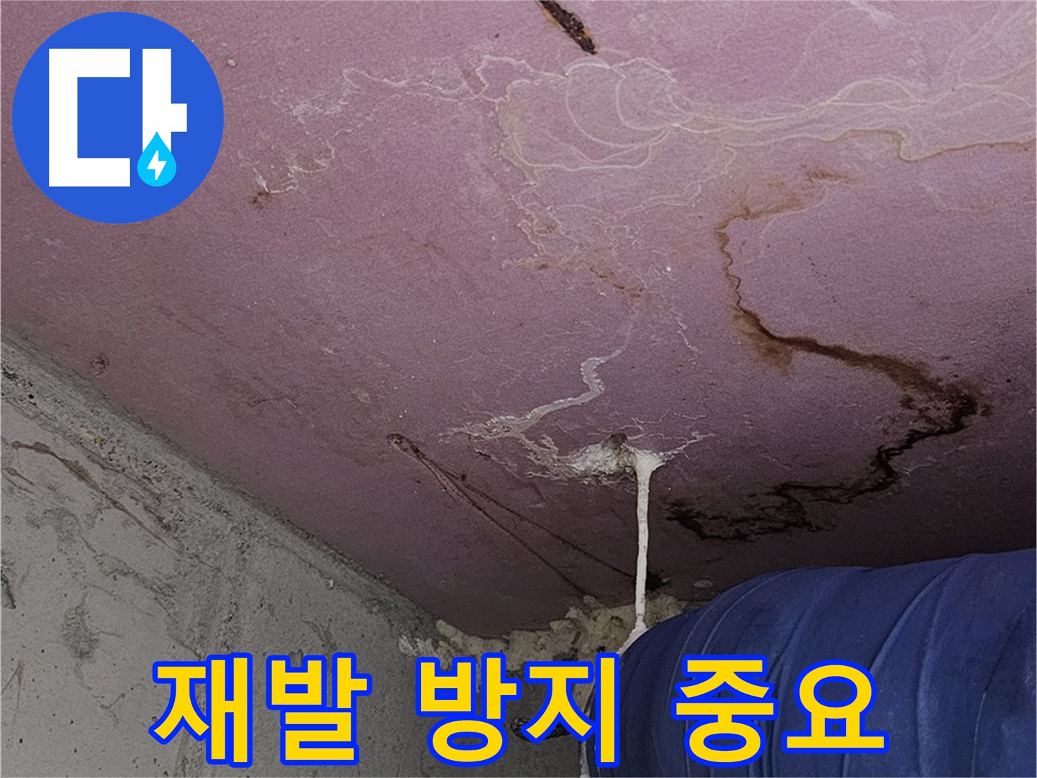 신월동 양천구 누수 - 철저한 A/S 제공