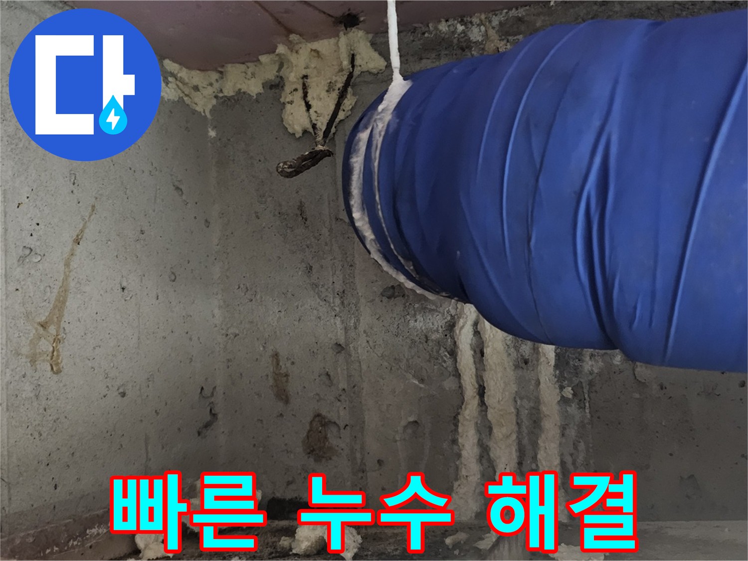 화장실 천장 누수 빠른 해결 - 신월동 누수 긴급 출동 서비스