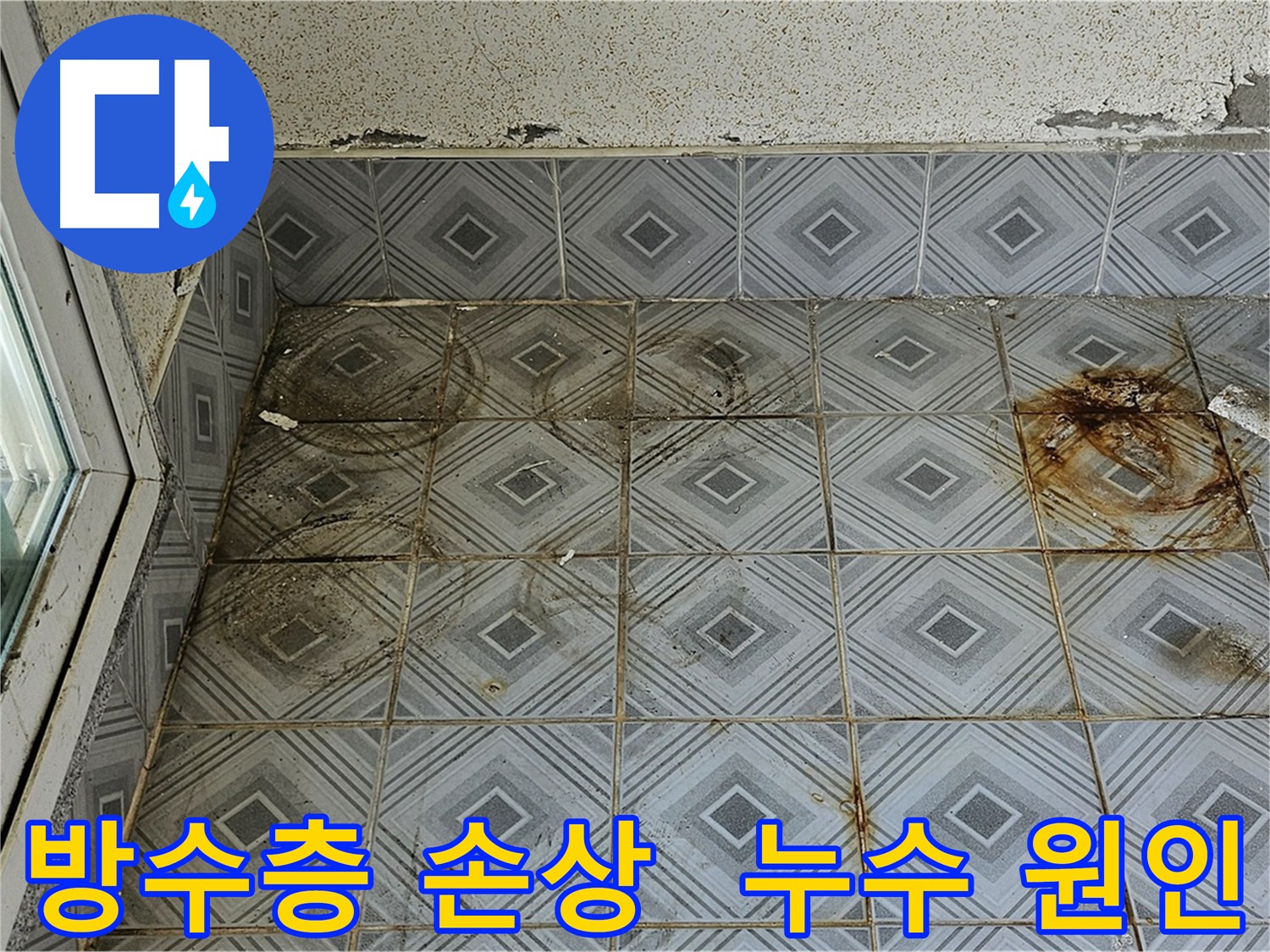 양천구 신월동 누수탐지 - 방수층 손상 및 타일 틈새 확인