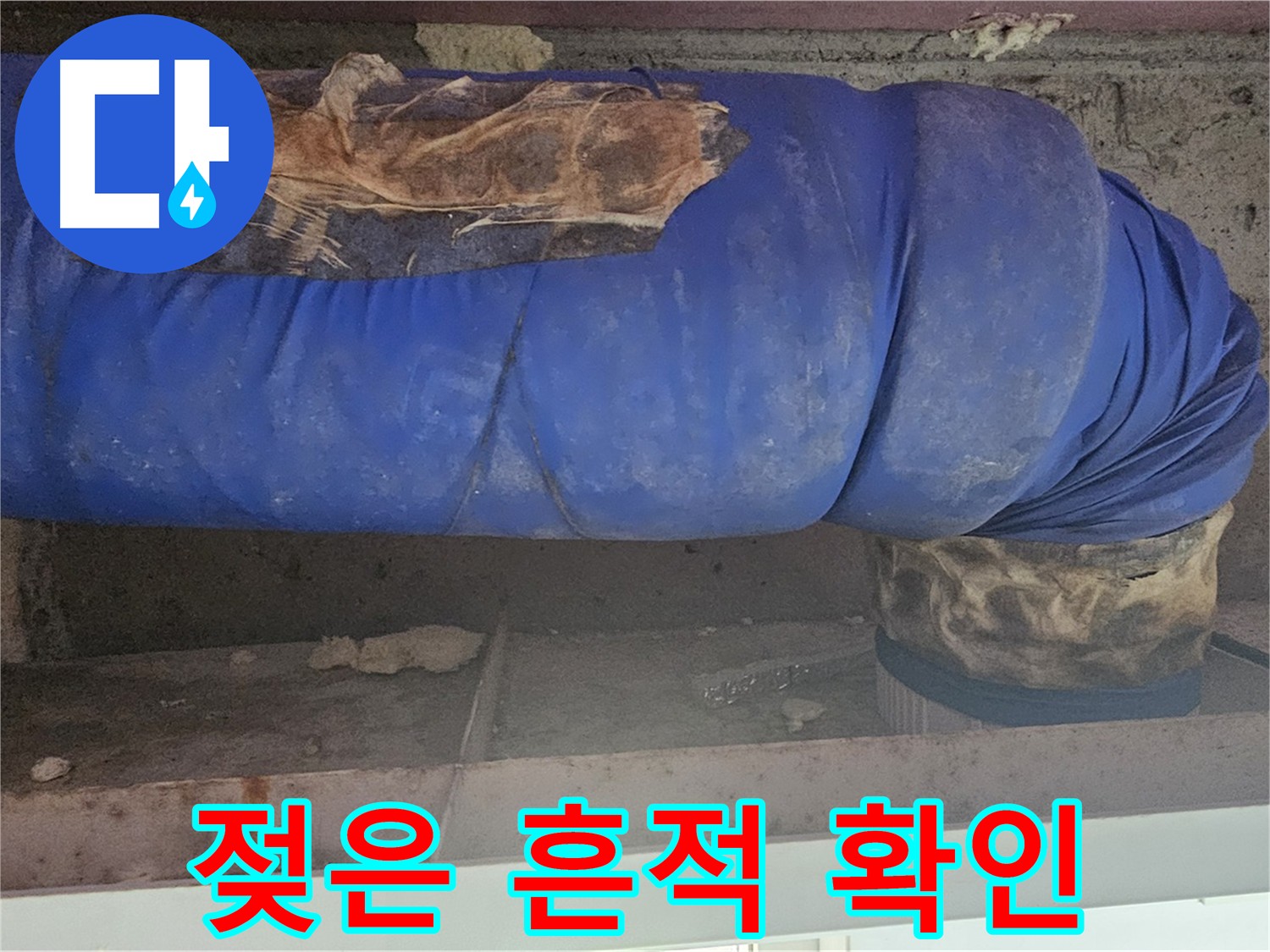 양천구 신정동 누수 - 배관 젖은 흔적 상세 확인