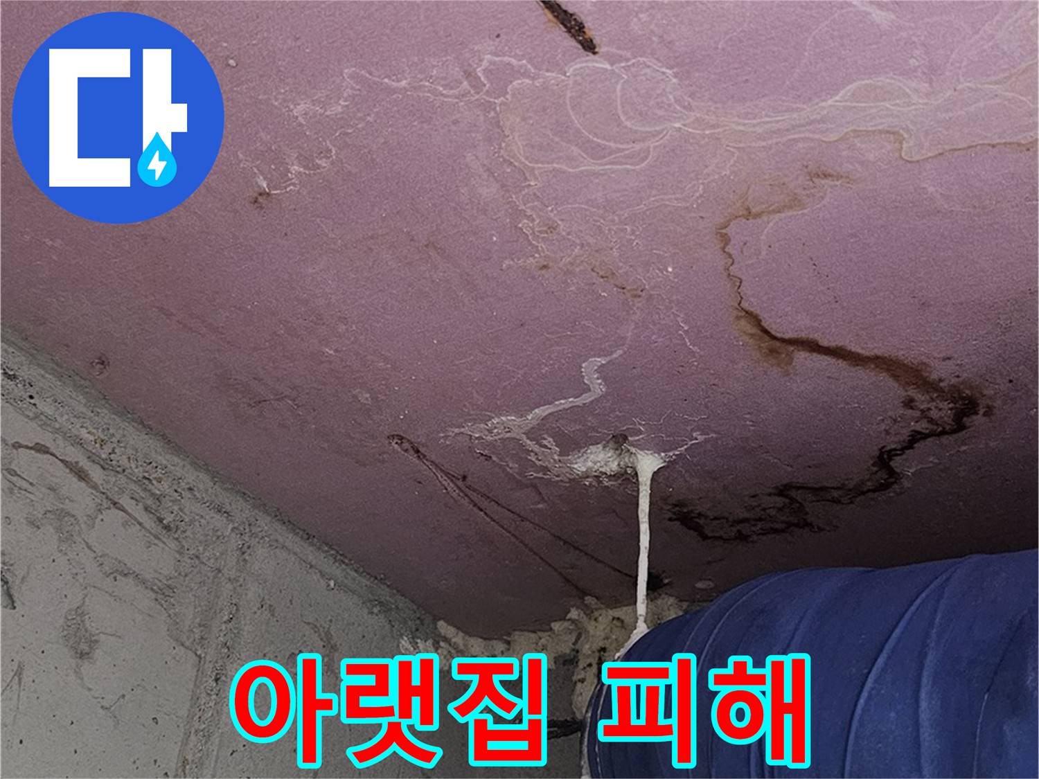 신정동 양천구 누수 - 아랫집 누수 피해 발생
