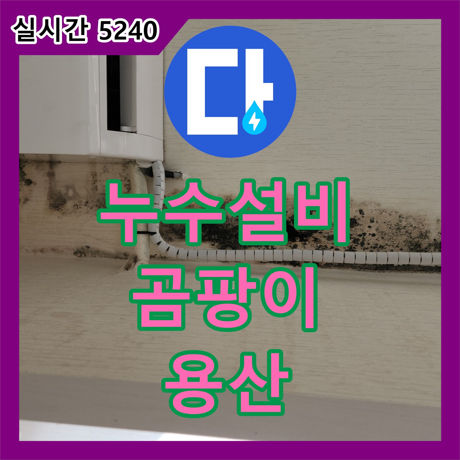 누수설비업체, 용산구 벽면 곰팡이 완벽 제거