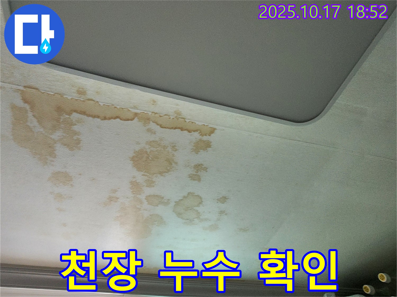 천장 누수 확인 - 젖은 자국 - 습기 발생