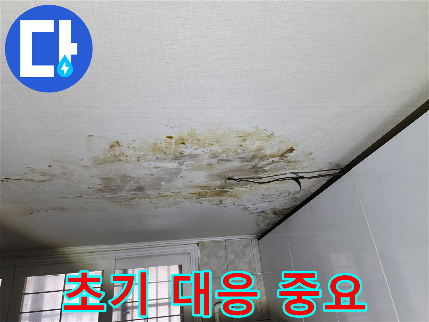 서대문구 천장 누수 - 초기 대응으로 피해 최소화