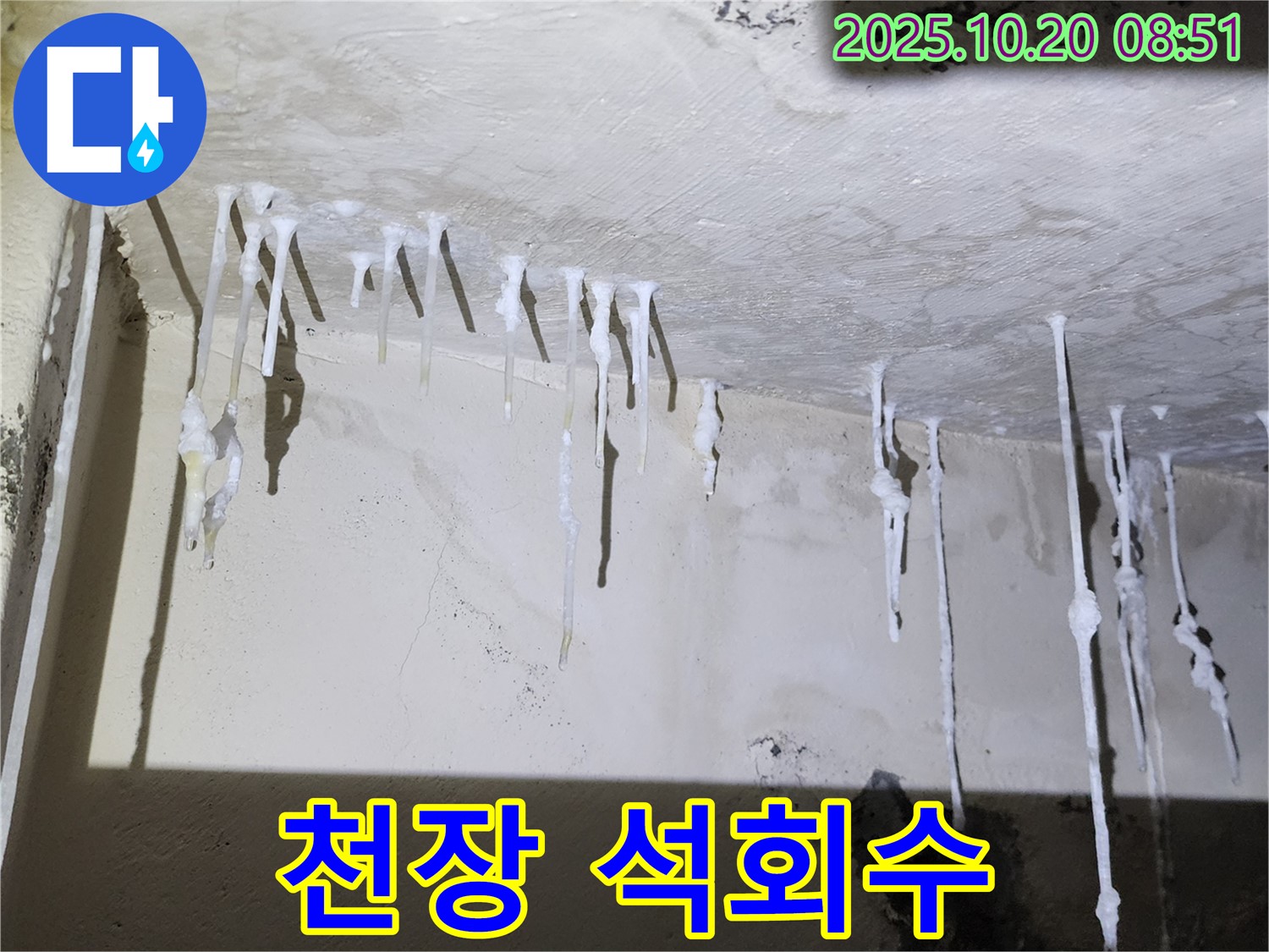 천장에서 떨어진 석회수 - 누수의 명백한 증거입니다.