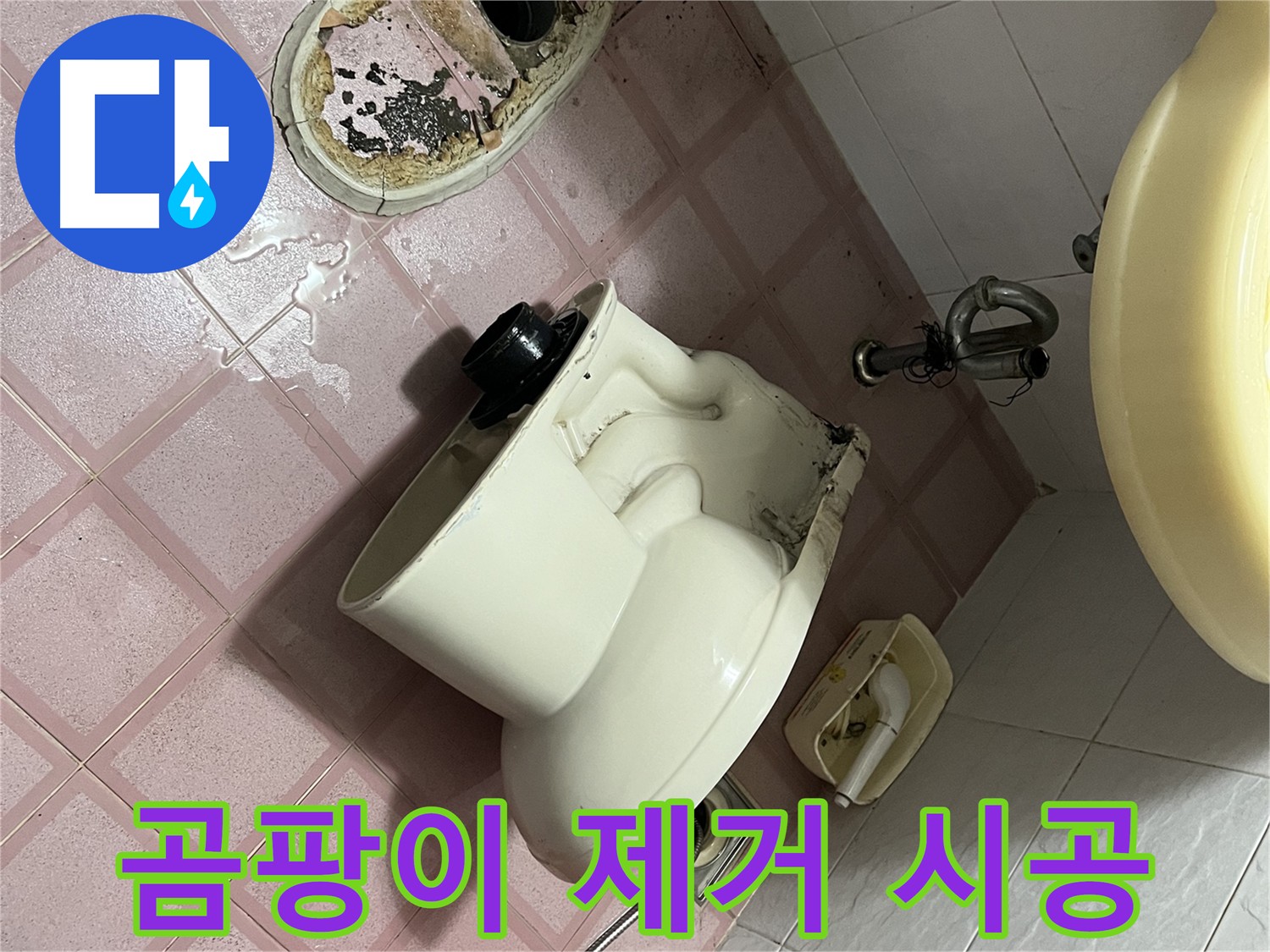 곰팡이 핀 변기 테두리 제거 후 항균 실리콘 시공