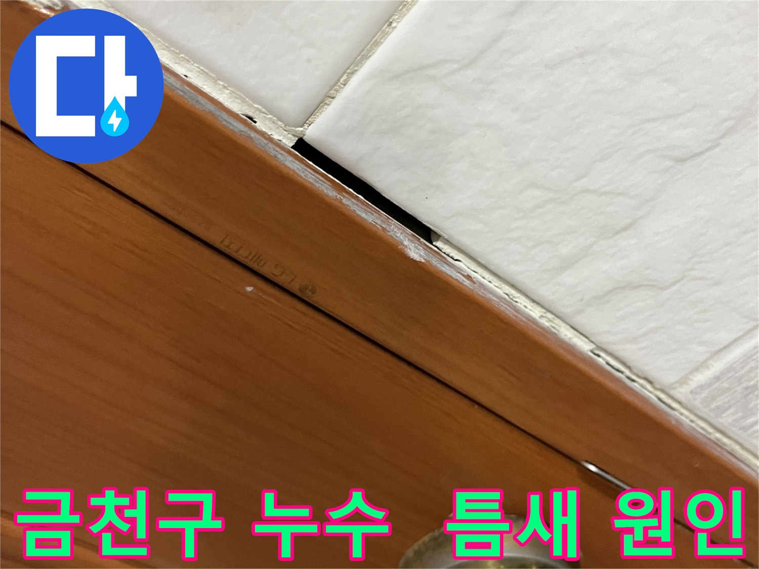 첨단 장비를 이용한 누수 탐지 과정