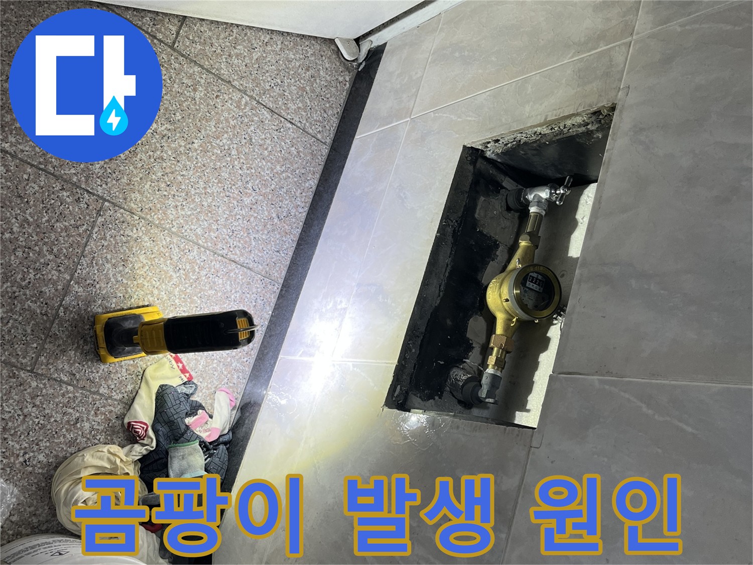 시흥대로 형제빌 수도 계량기함 주변 곰팡이 발생 원인 분석 - 누수와 곰팡이 연관성 확인