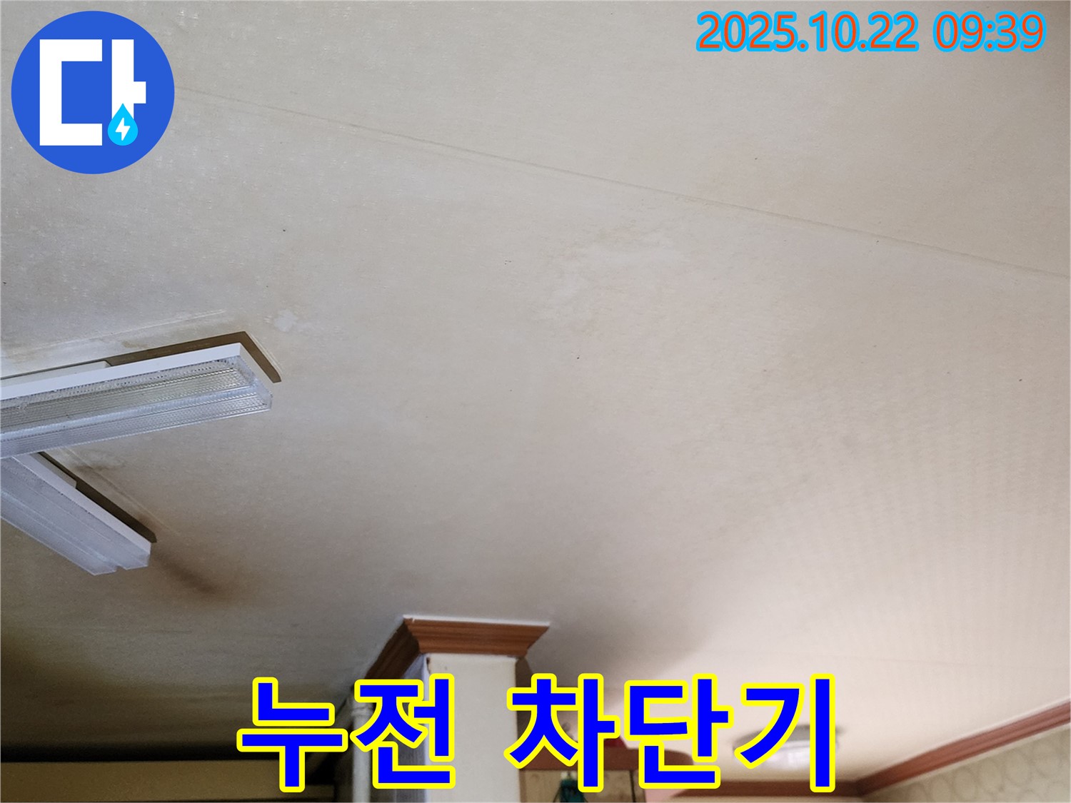 양주 천장 누수 - 누전 차단기 작동, 긴급 점검