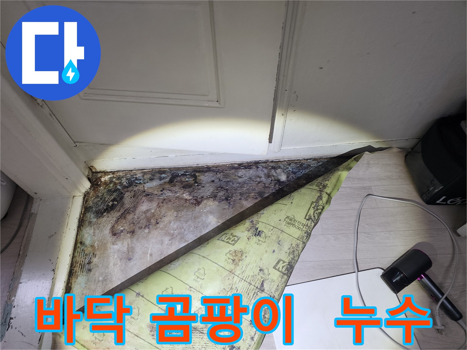 빌라 누수 원인 - 화장실 방수층 문제로 인한 바닥 곰팡이