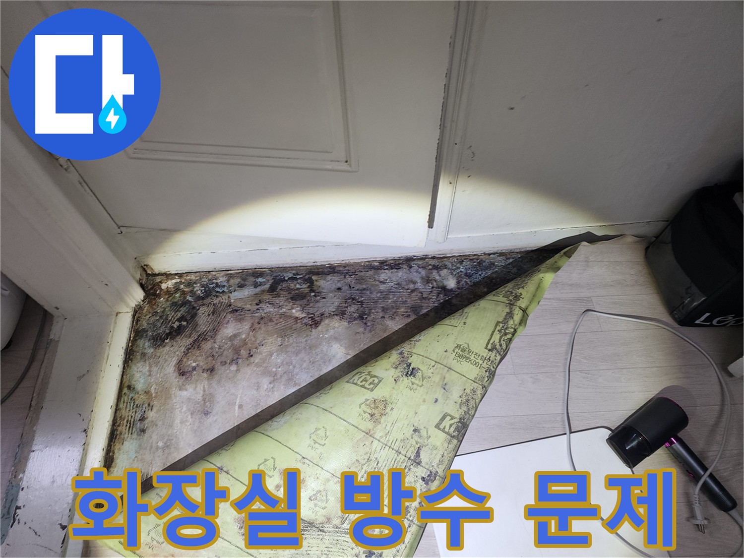 양재동 누수 원인 - 화장실 방수층 균열로 인한 곰팡이 발생