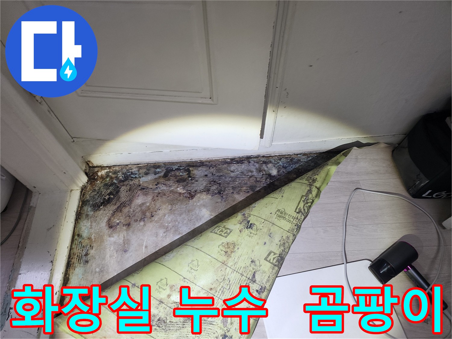 서초구 양재동 누수 - 화장실 방수층 손상으로 인한 곰팡이