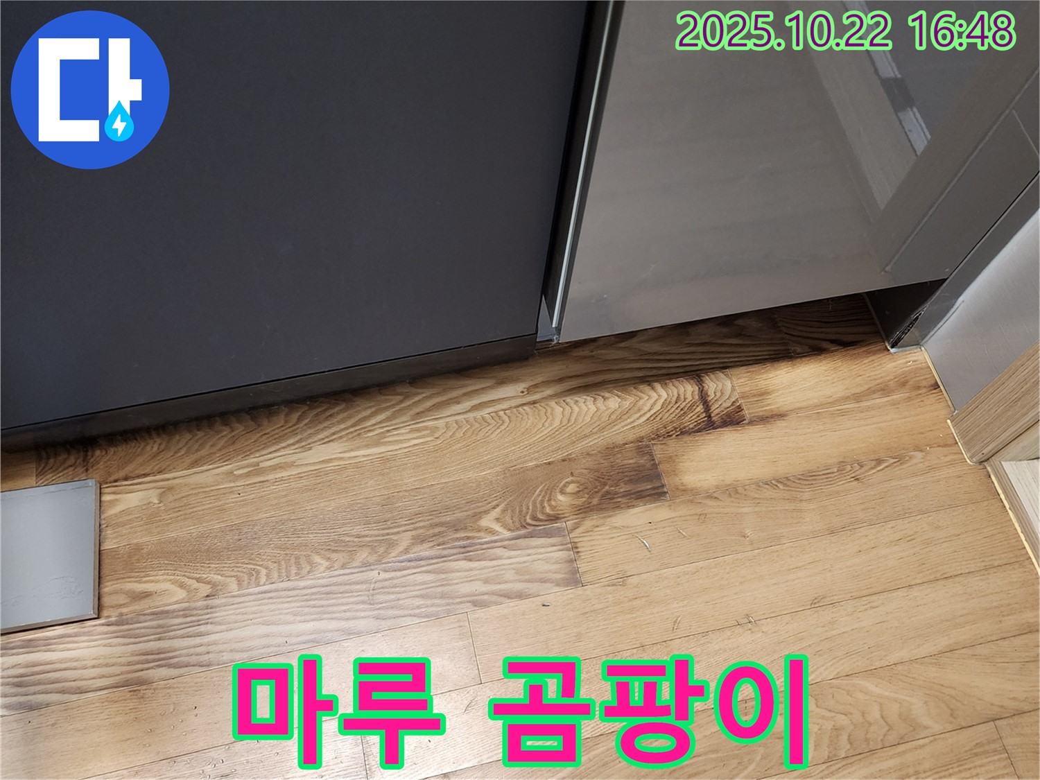 싱크대 옆 마루 곰팡이 - 습기 - 누수