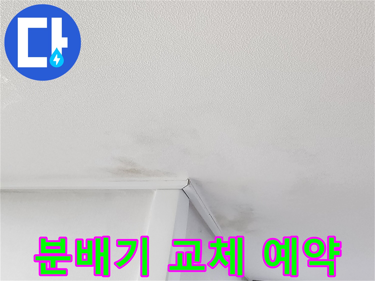 천장 곰팡이 - 누수 해결과 곰팡이 방지 시공 필수