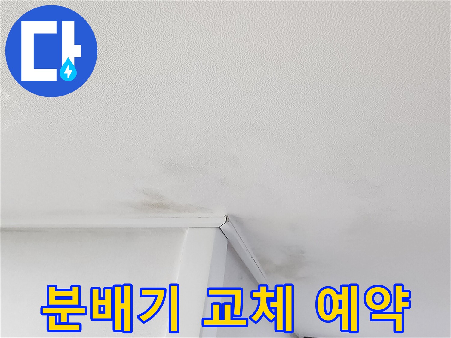 천장 곰팡이 고민 해결 - 누수 탐지부터 방지 시공까지