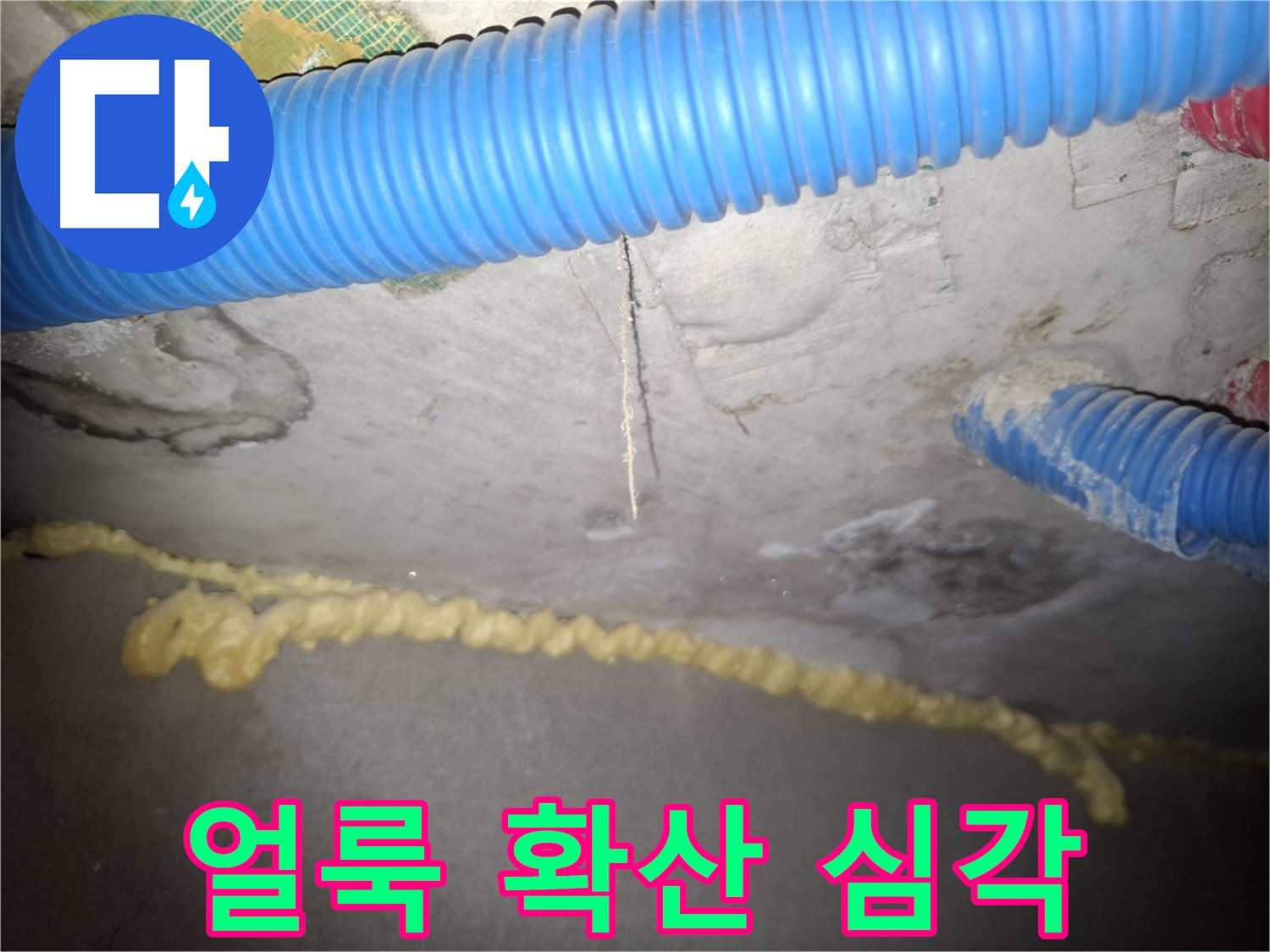 천장 얼룩 확산 - 누수 심각 단계 - 수원 누수