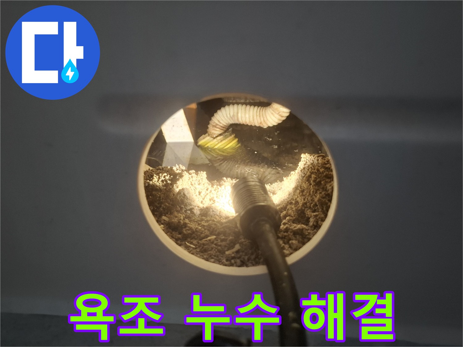 수원 팔달구 신풍동 욕조 누수 해결 - 정확한 누수 지점 발견