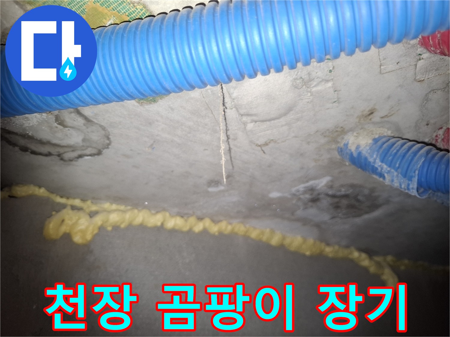 천장 곰팡이 - 누수 장기화 우려 - 신풍동 누수