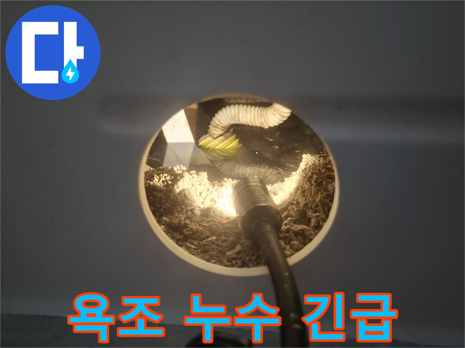 수원 팔달구 신풍동 욕조 긴급 누수 출동 - 심각한 누수 상황