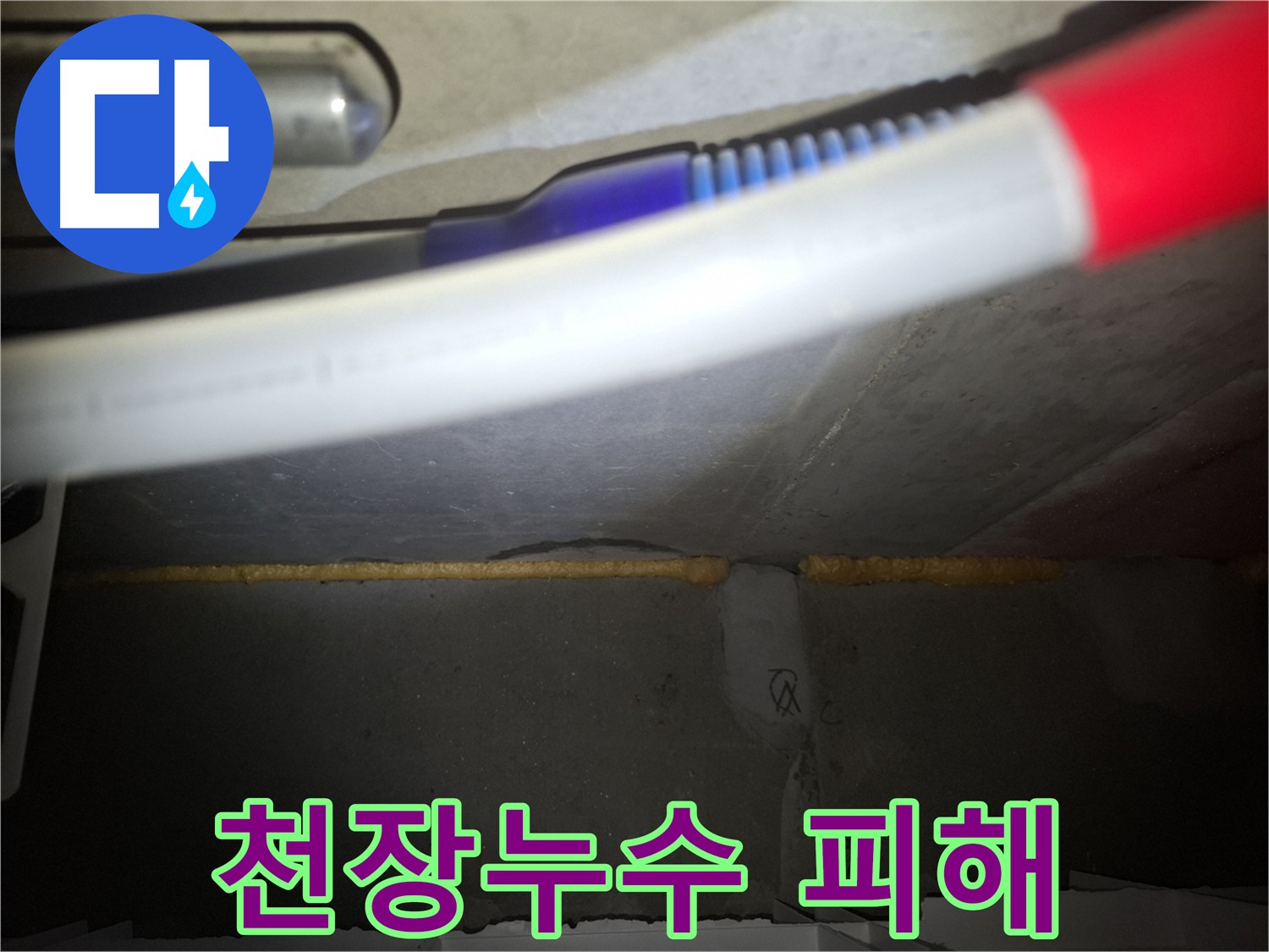 천장 누수로 인한 피해 현장 - 누수 원인 탐지 및 신속한 누수 공사 필요