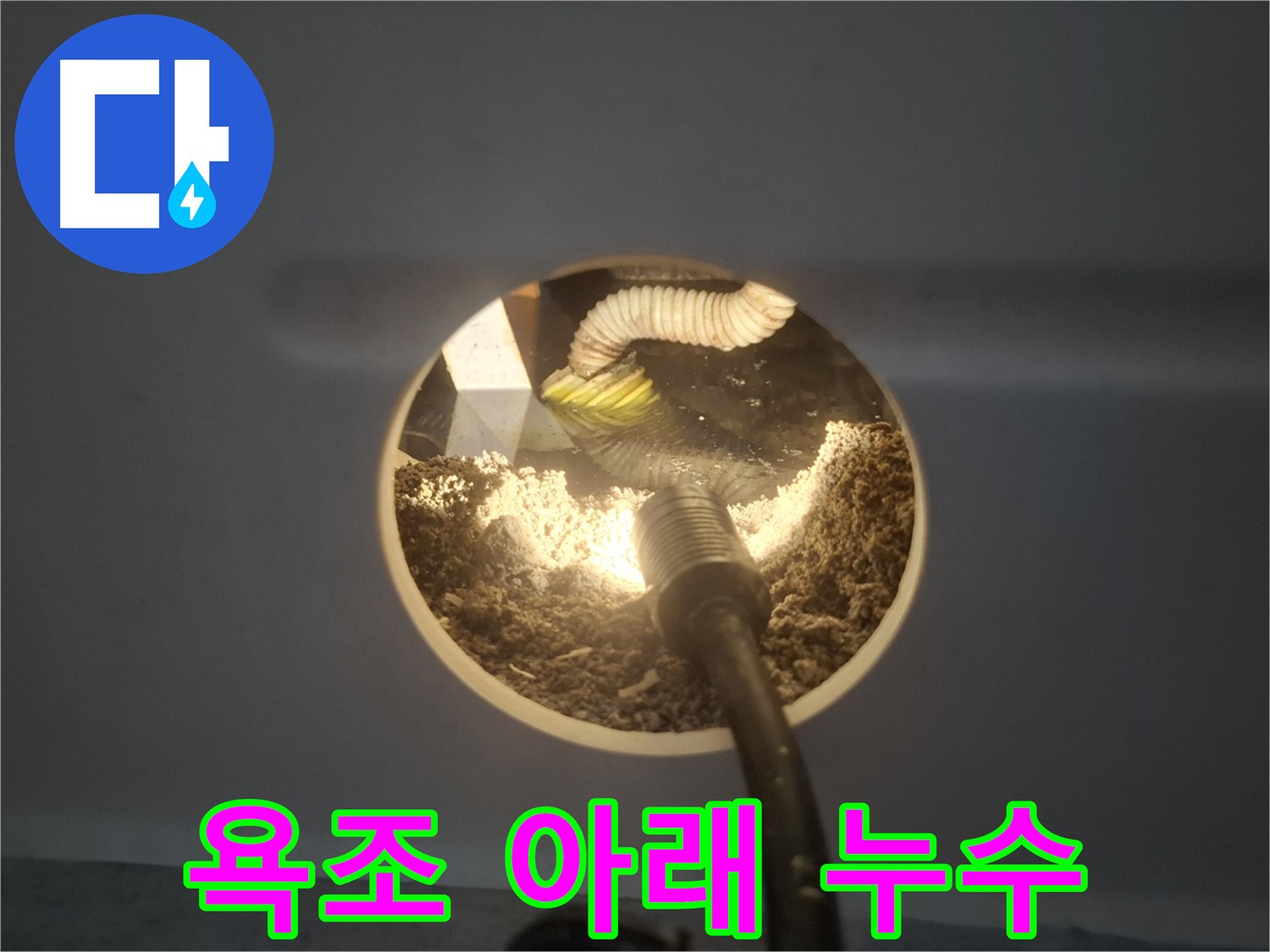 수원 팔달구 신풍동 욕조 누수 현장 - 심각한 누수로 인한 빠른 조치 필요