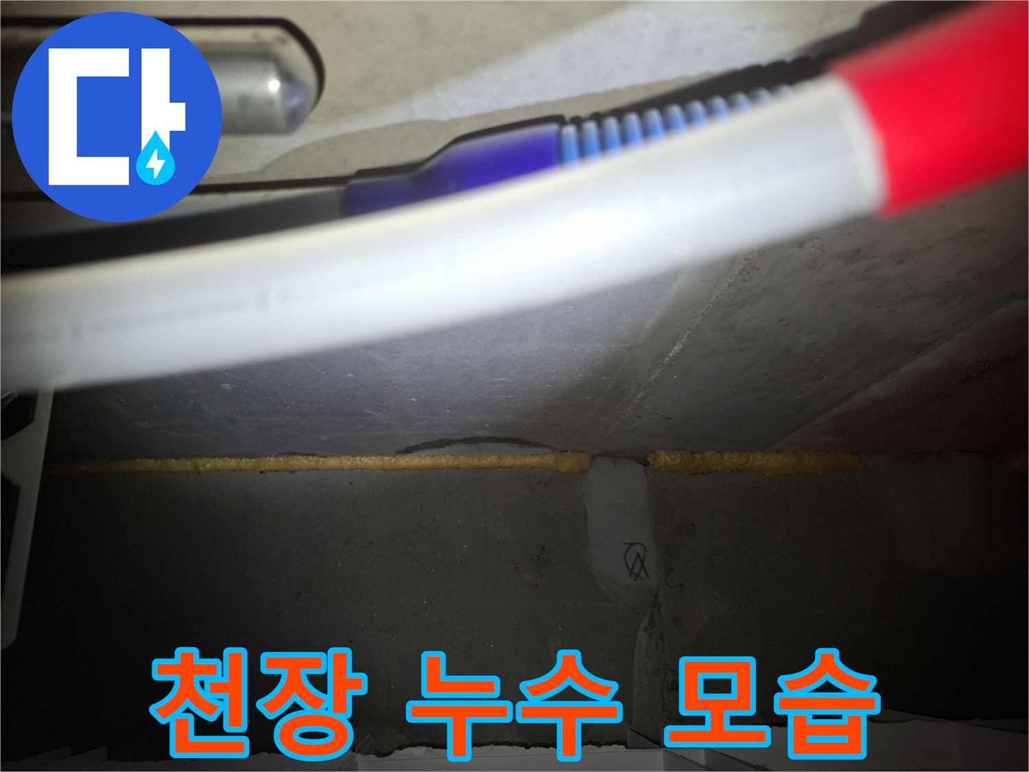 천장 속 누수 원인 탐지 및 해결 - 전문가의 도움이 필요한 천장 누수 문제