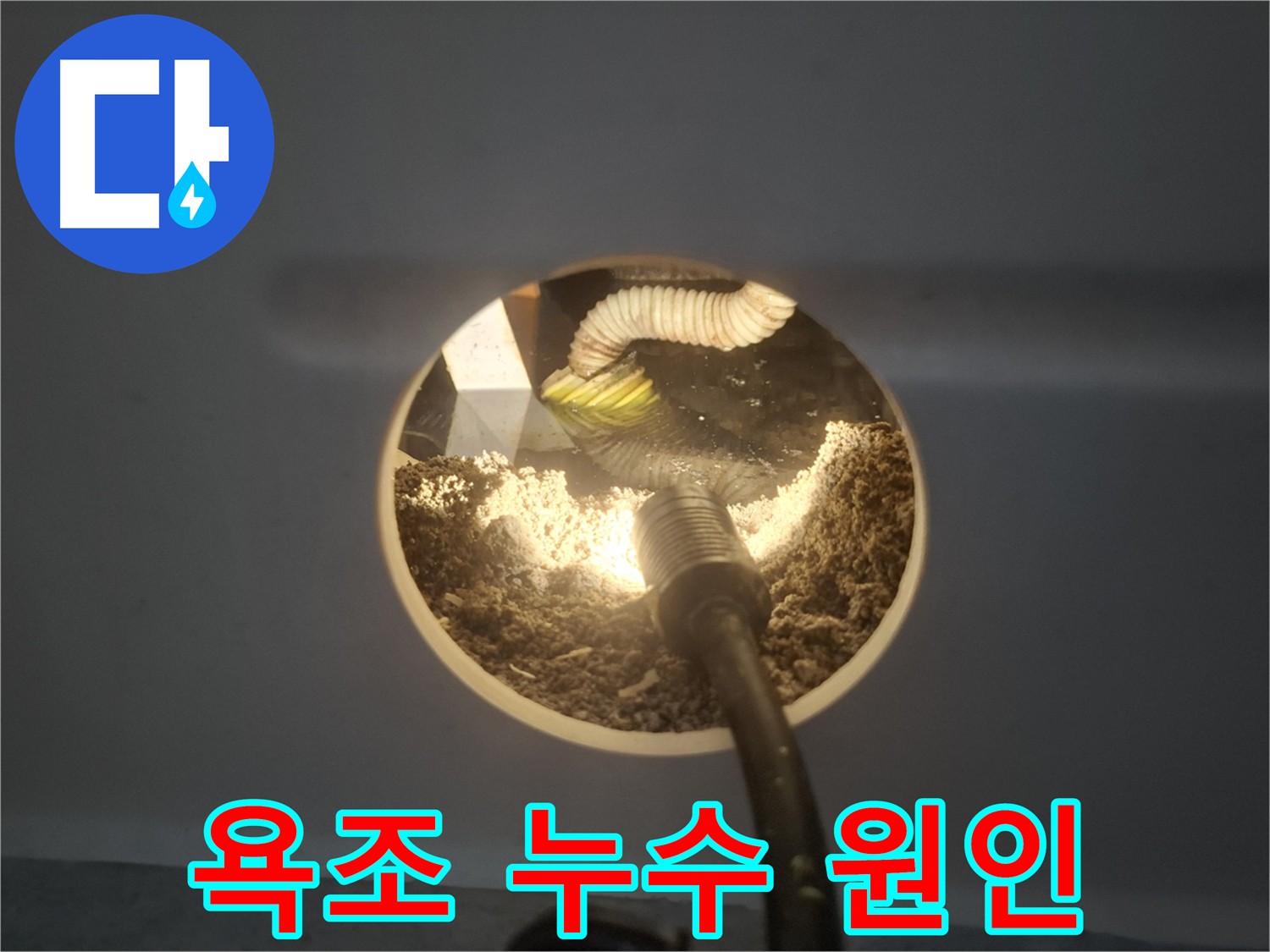 수원 팔달구 신풍동 욕조 누수 원인 탐색 - 완벽한 수리 약속