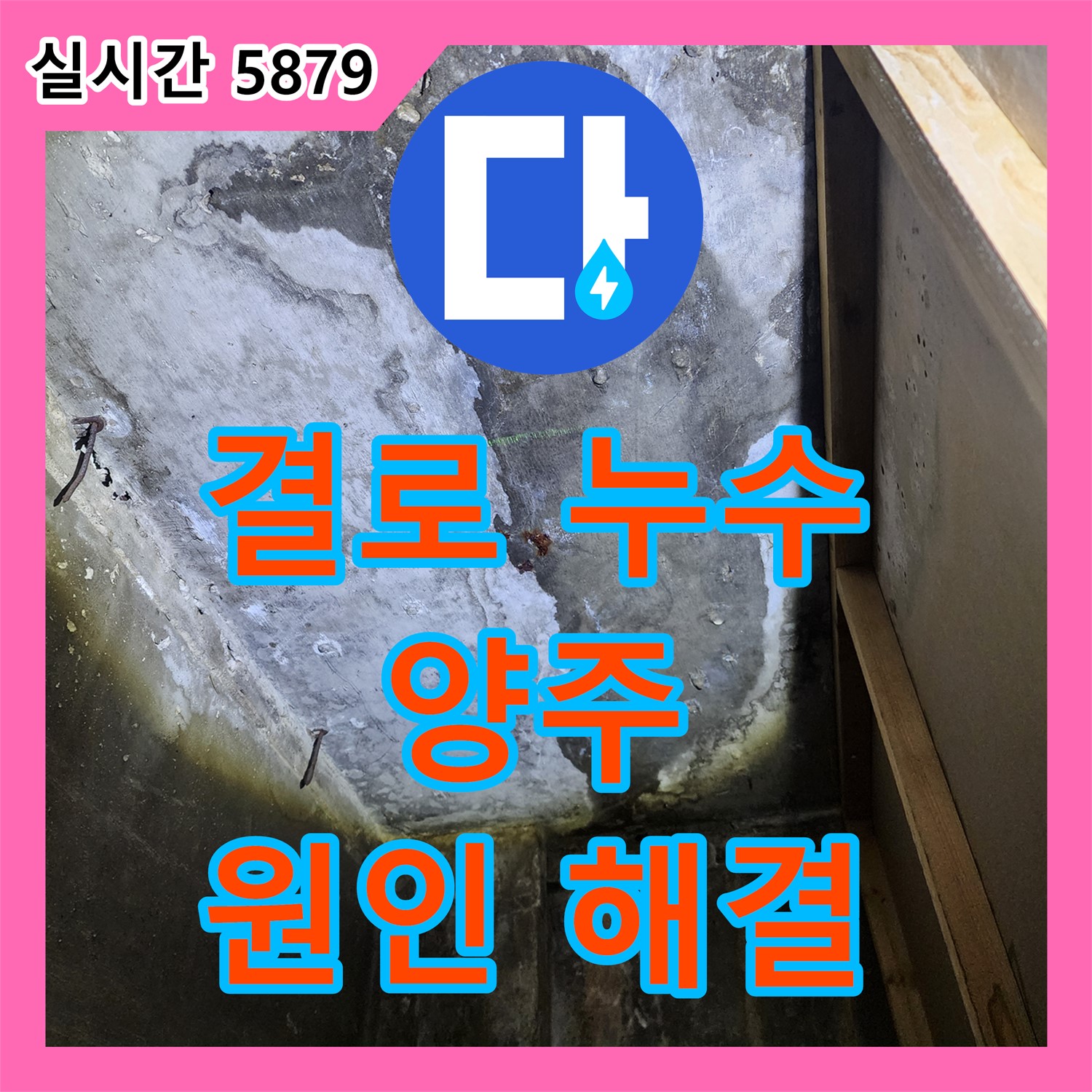 양주 누수전문, 베란다 천장 결로 인한 누수 해결