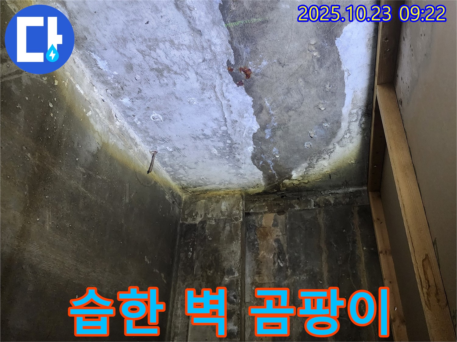 양주시 습한 벽 - 곰팡이 문제 해결 과정