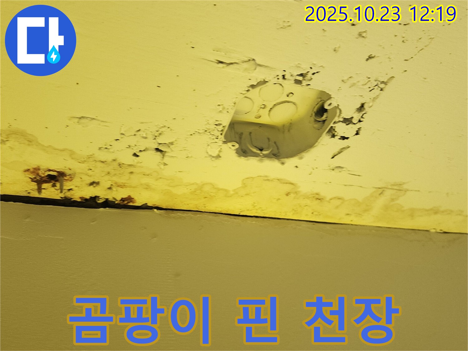 양주시 하패리 천장 누수 - 곰팡이로 오염된 천장