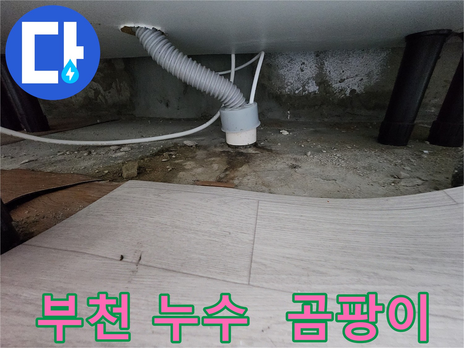 배수관 주변 습기와 곰팡이 - 누수 또는 역류 의심 사진