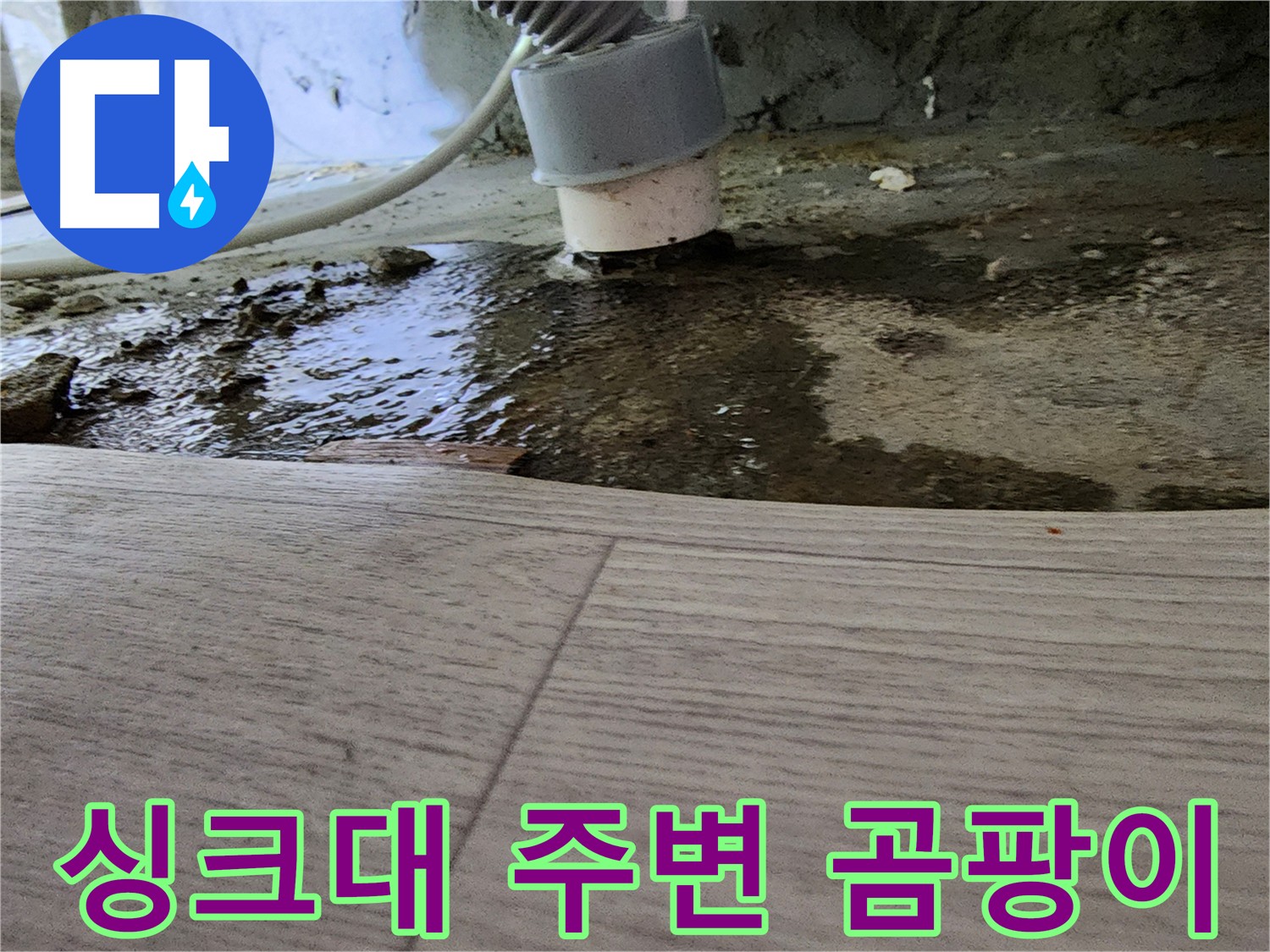싱크대 주변 곰팡이 - 누수 의심 및 건강에 해로운 영향