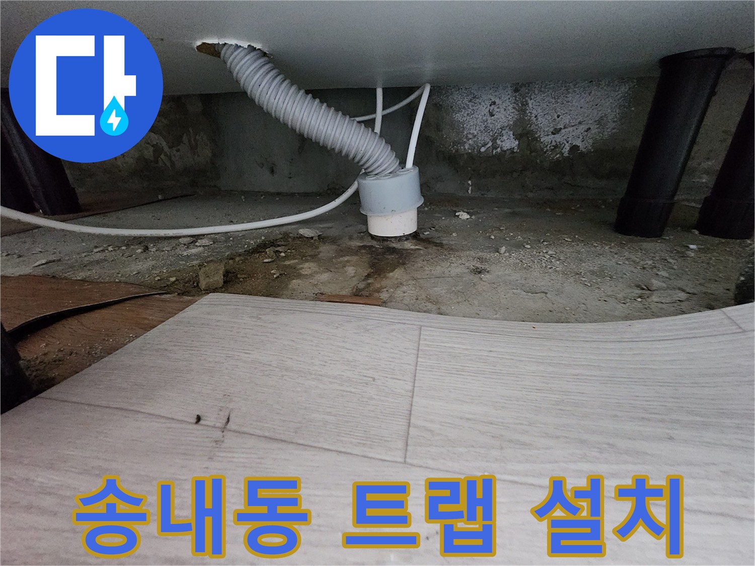 역류 방지 트랩 설치 - 악취 및 해충 차단 효과 사진