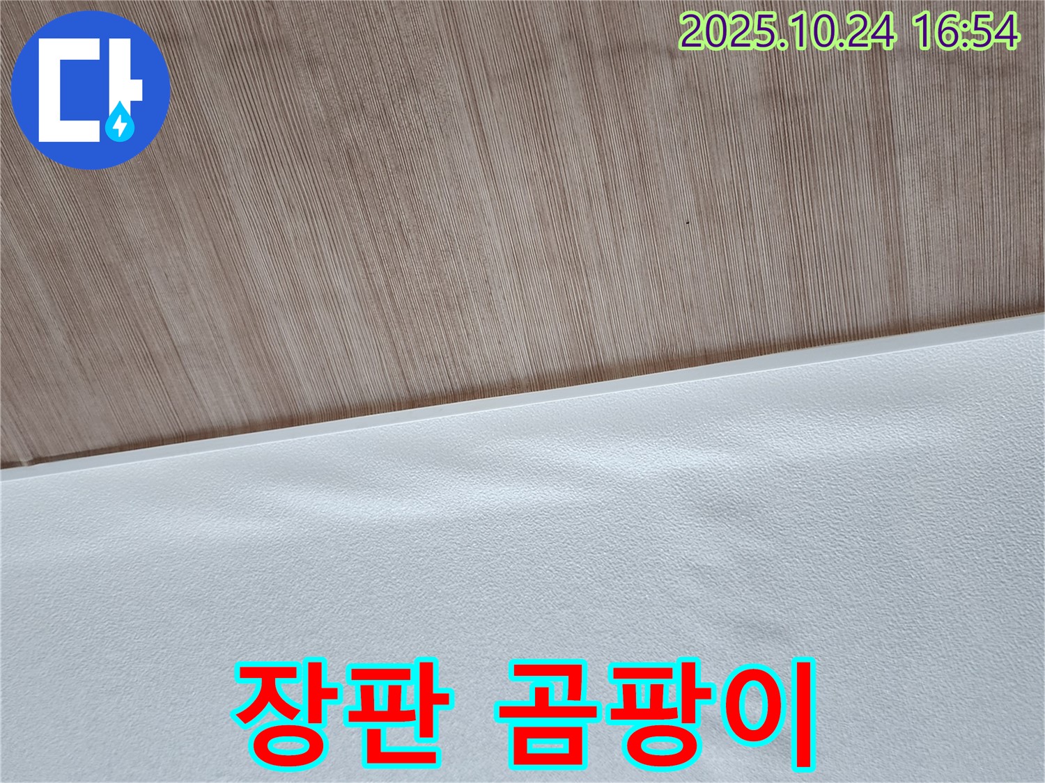 곰팡이 핀 장판 - 습기로 인해 장판에 곰팡이가 핀 모습입니다.