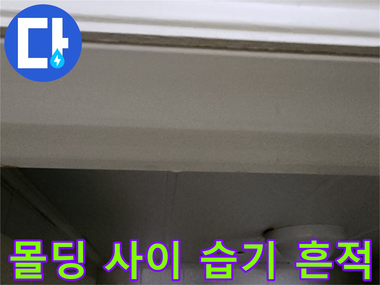 천장 몰딩 경계의 습기 침투 흔적
