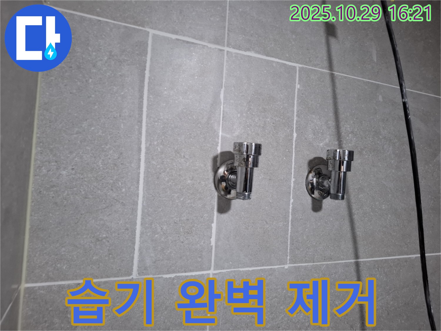 습기 완벽 제거 - 곰팡이 걱정 끝!