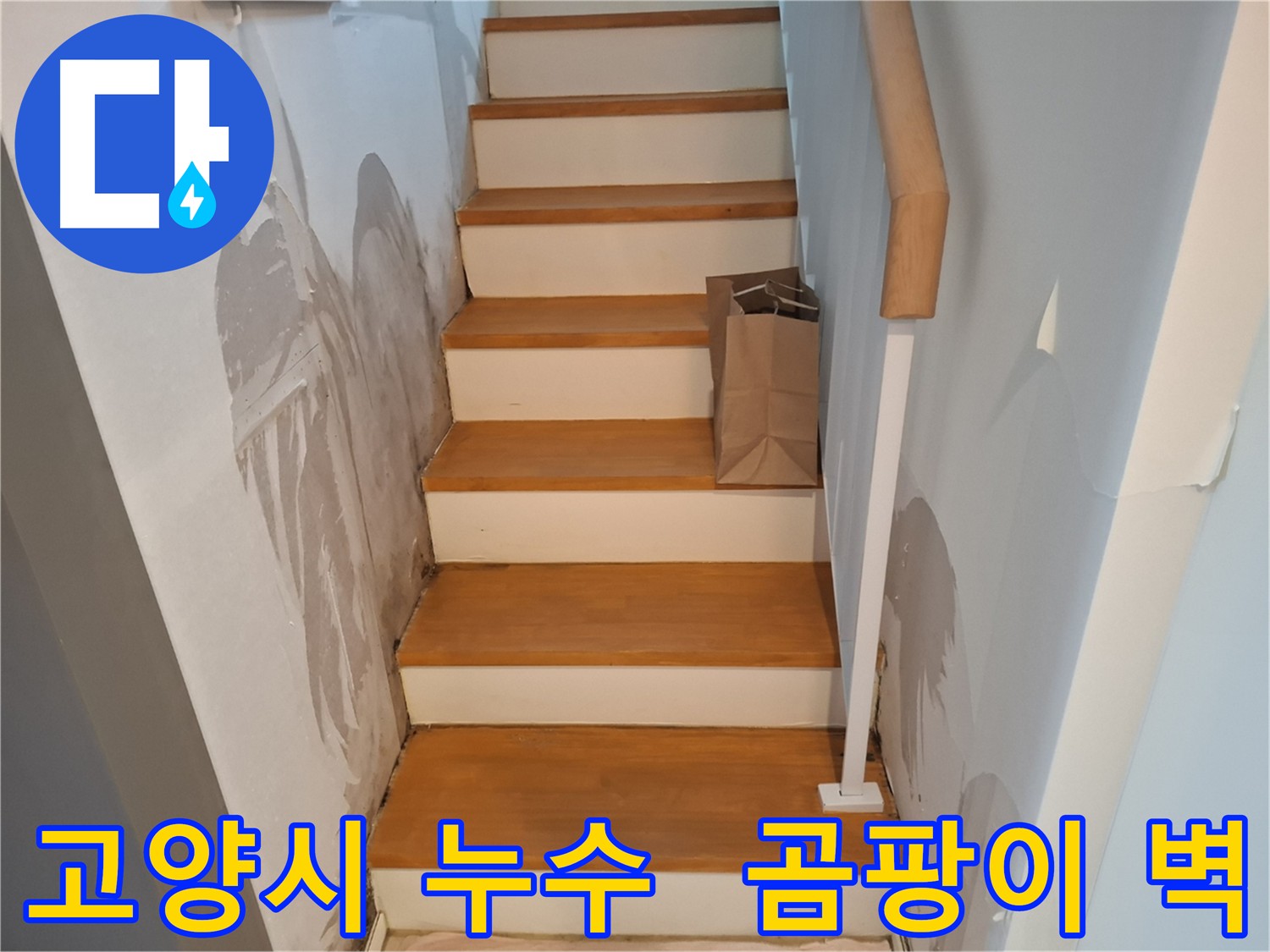 곰팡이 핀 벽 - 건강 위협