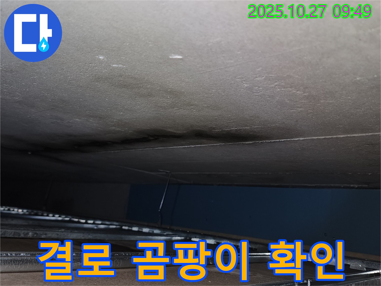 결로 현상으로 인한 곰팡이 발생 - 원인 해결 필요.