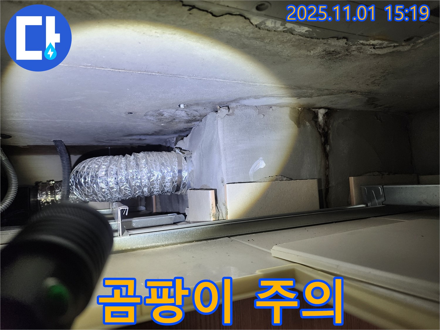 곰팡이 - 누수로 인한 곰팡이