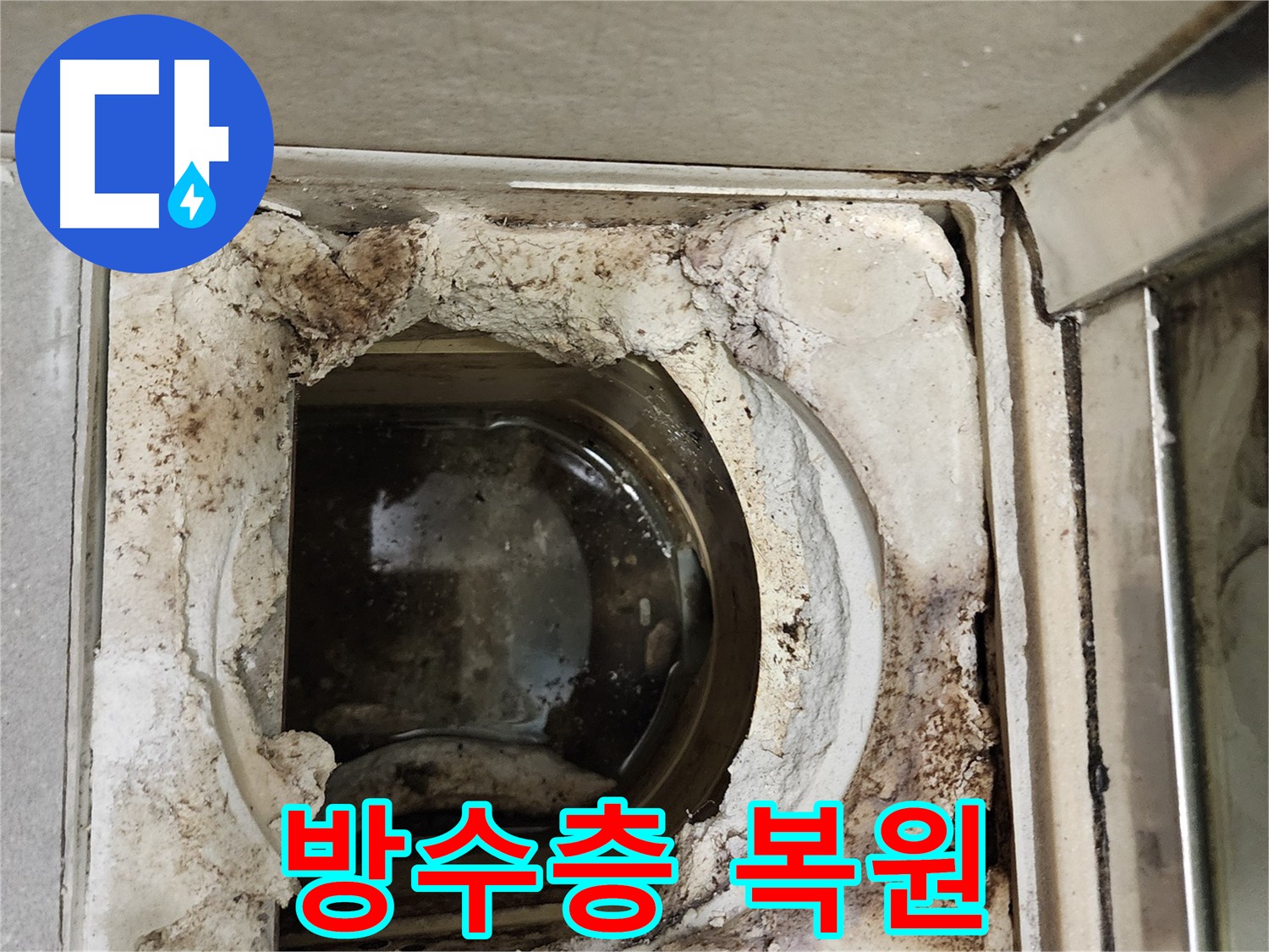 금호동 성동구 손상된 욕실 유가 주변 방수층 복원으로 누수 방지