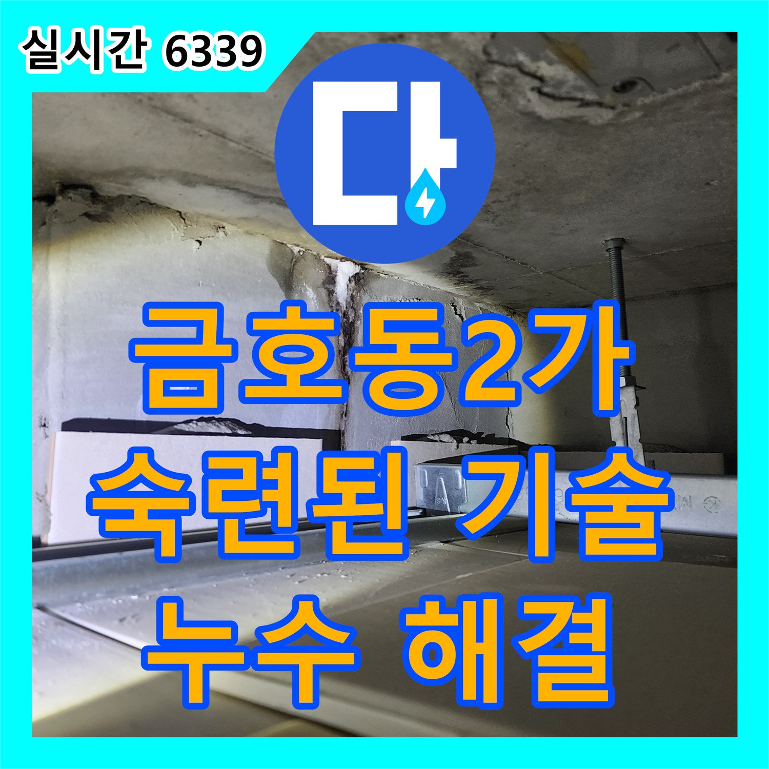 누수탐지전문가, 신금호 파크자이 욕실 타일 틈새 누수